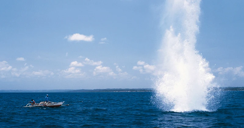 bombing fishing jili