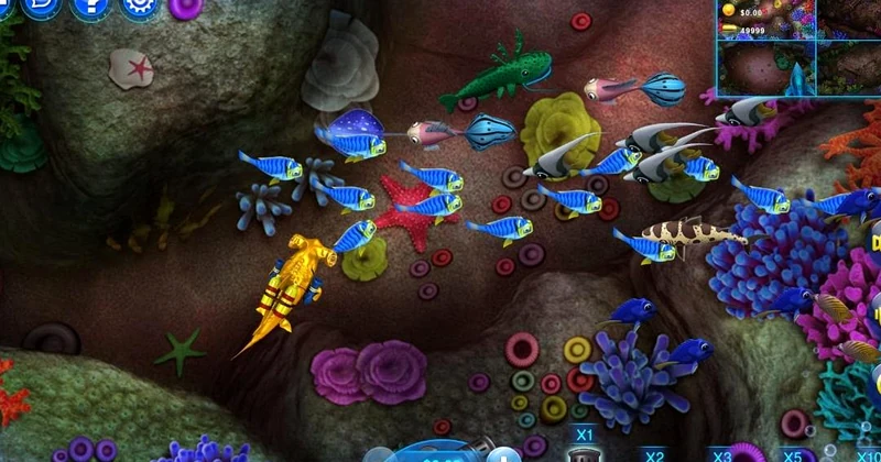 fishing games winzir